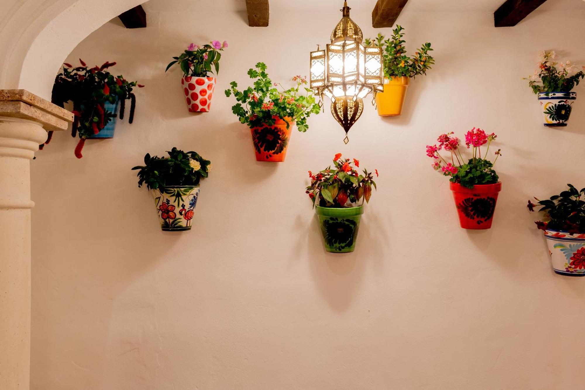 Casa Del Patio - Boutique Apartments (Adults Only) Естепона Екстериор снимка