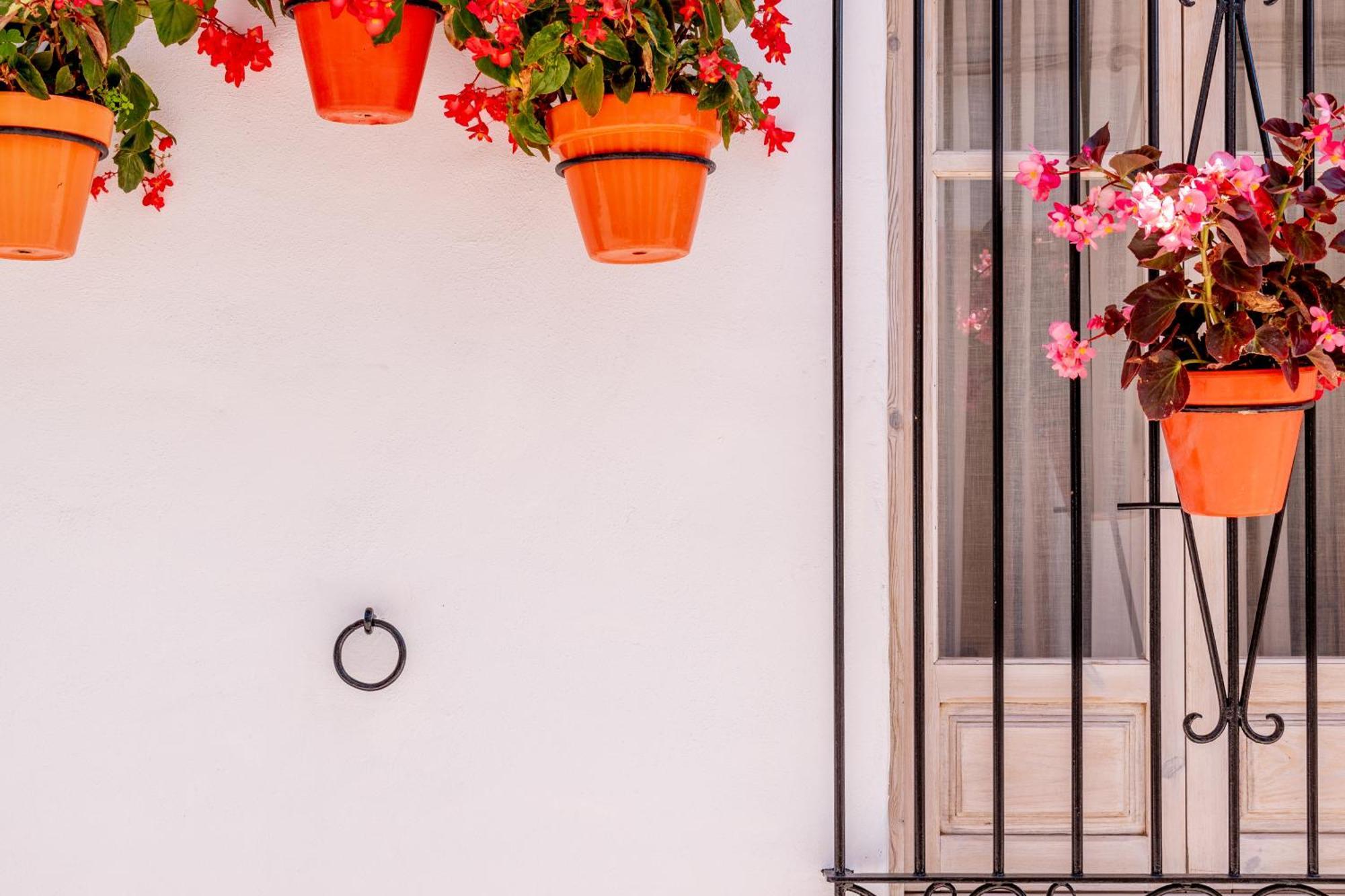 Casa Del Patio - Boutique Apartments (Adults Only) Естепона Екстериор снимка